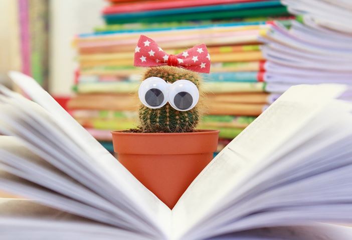 Le livre avant 3 ans